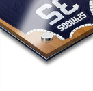 Larry Spriggs - Howard Bison 1 Acrylic print