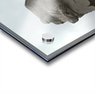 Dr. Martin Luther KIng Jr Memorial 1 Acrylic print