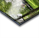 Madison Park -  New York 2 Acrylic print