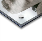 Dr. Martin Luther KIng Jr Memorial 2 Acrylic print