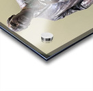 A. Philip Randolph Acrylic print