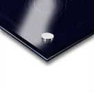 The Bison 1983 Acrylic print