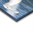 Little Birdie at Fishermans Wharf - San Francisco - 6 Acrylic print