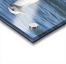 Little Birdie at Fishermans Wharf - San Francisco - 2 Acrylic print