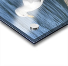 Little Birdie at Fishermans Wharf - San Francisco - 3 Acrylic print