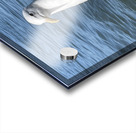 Little Birdie at Fishermans Wharf - San Francisco - 5 Acrylic print