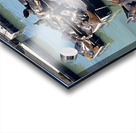 The Sea Lions at Fishermans Wharf - San Francisco Acrylic print