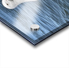 Little Birdie at Fishermans Wharf - San Francisco - 1 Acrylic print