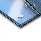 Sailing  on San Francisco Bay Acrylic print