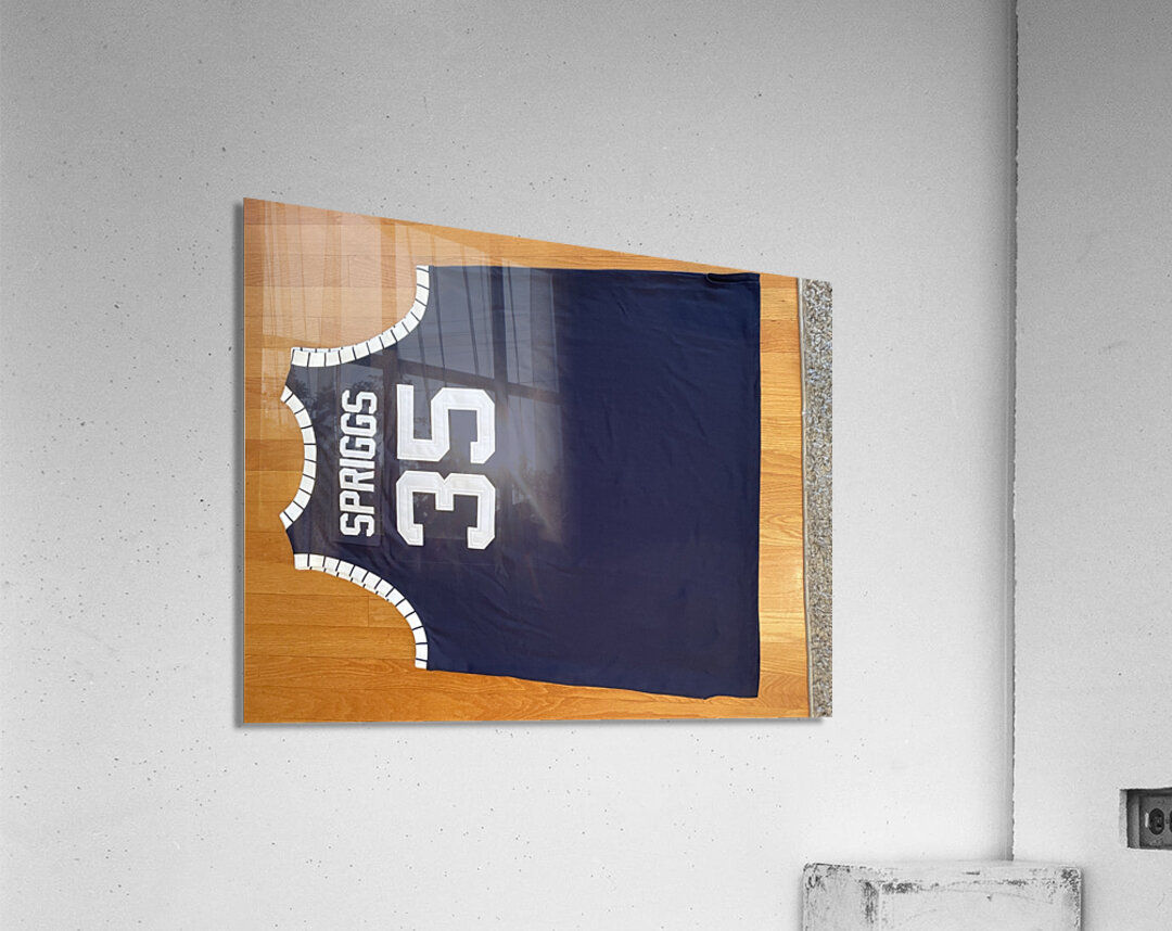 Larry Spriggs - Howard Bison 1 Acrylic Print