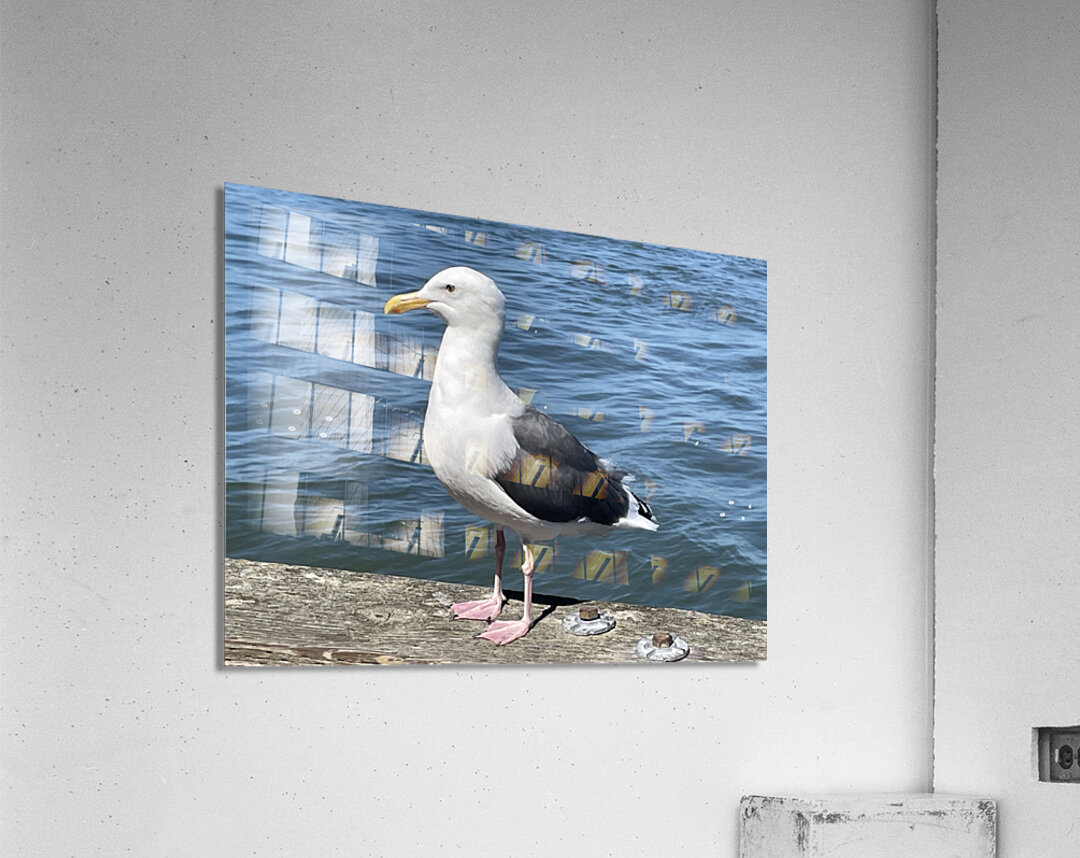 Little Birdie at Fishermans Wharf - San Francisco - 6 Acrylic Print