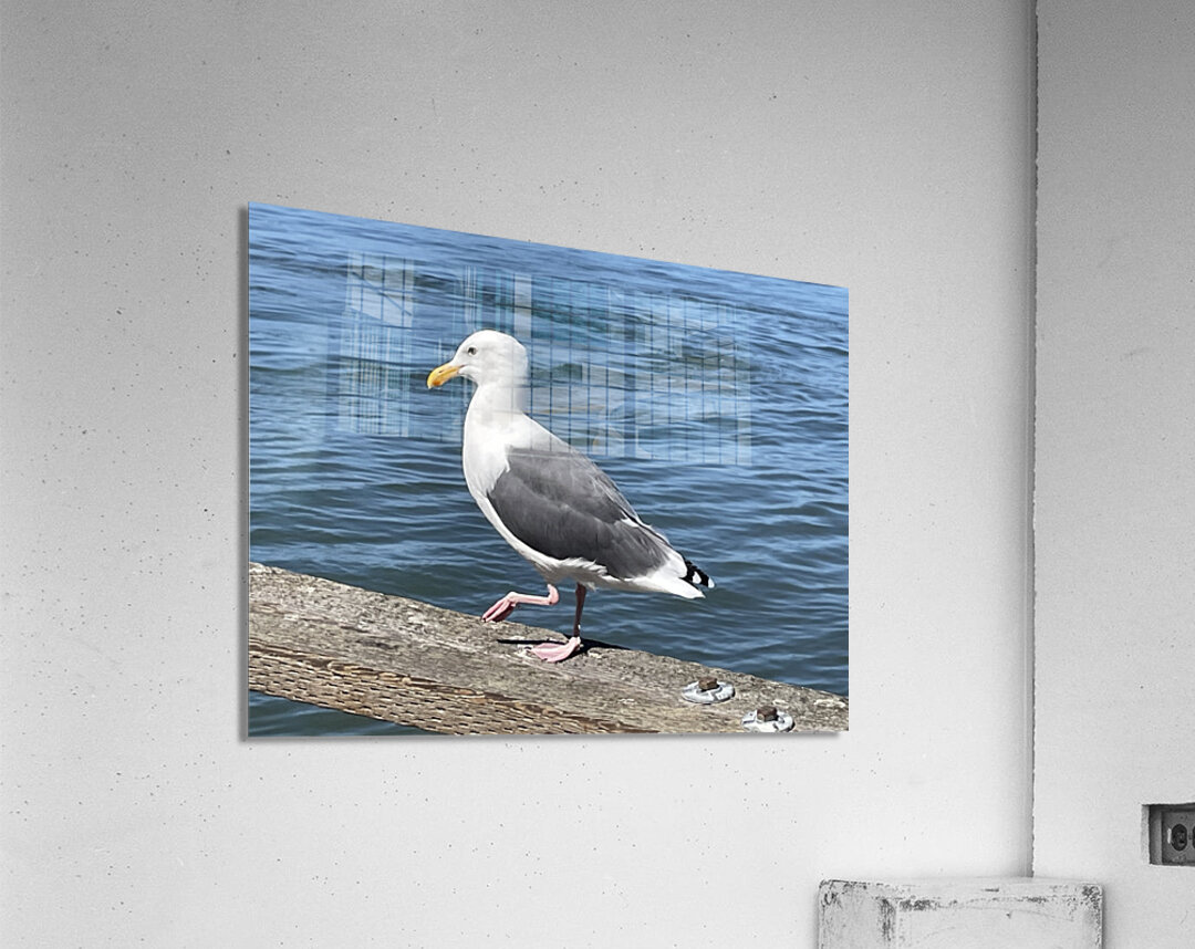 Little Birdie at Fishermans Wharf - San Francisco - 3 Acrylic Print