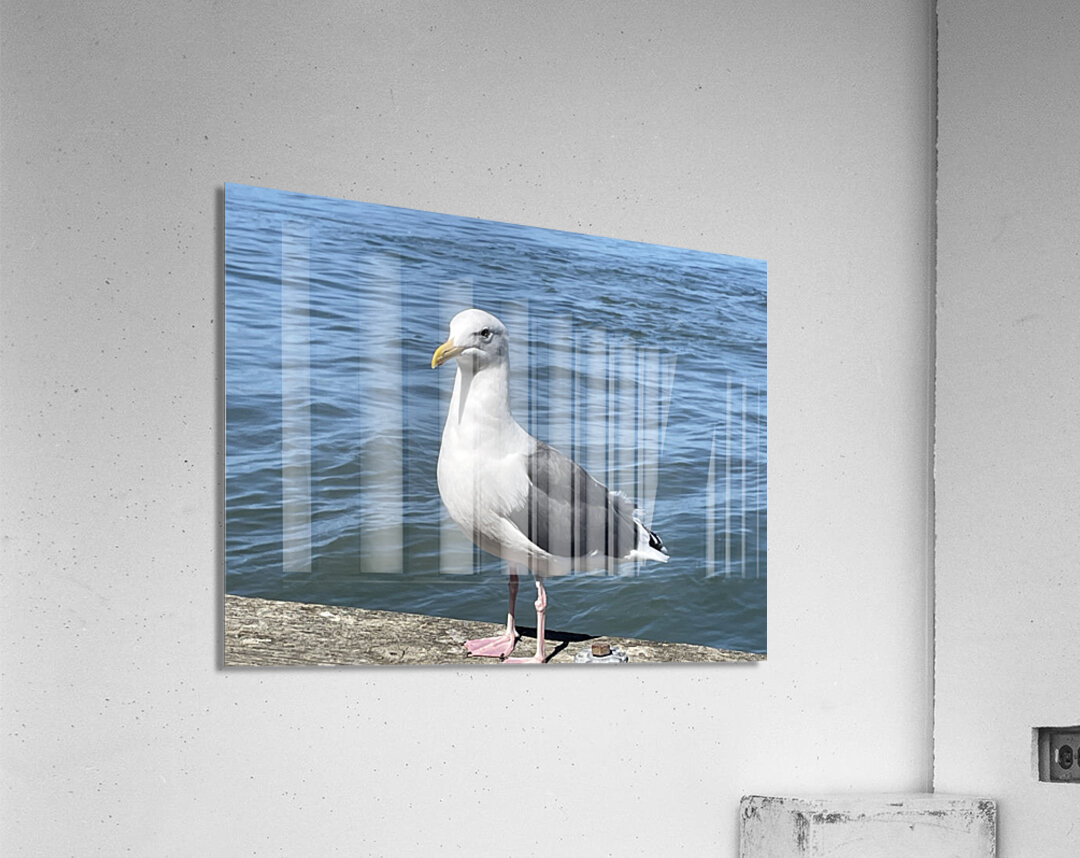 Little Birdie at Fishermans Wharf - San Francisco - 5 Acrylic Print
