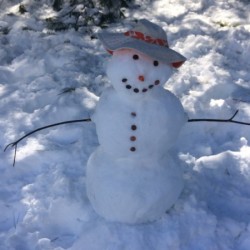 Mr. Snowman