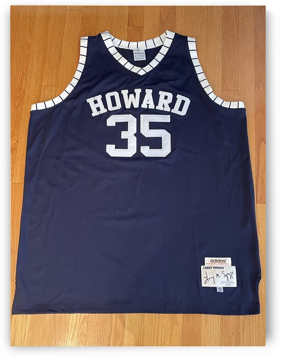 Larry Spriggs - Howard Bison II by mouserack