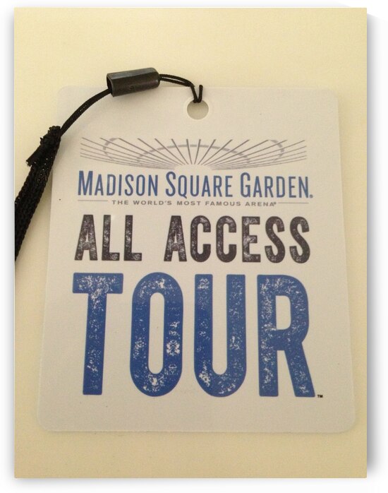 MSG Tour by mouserack