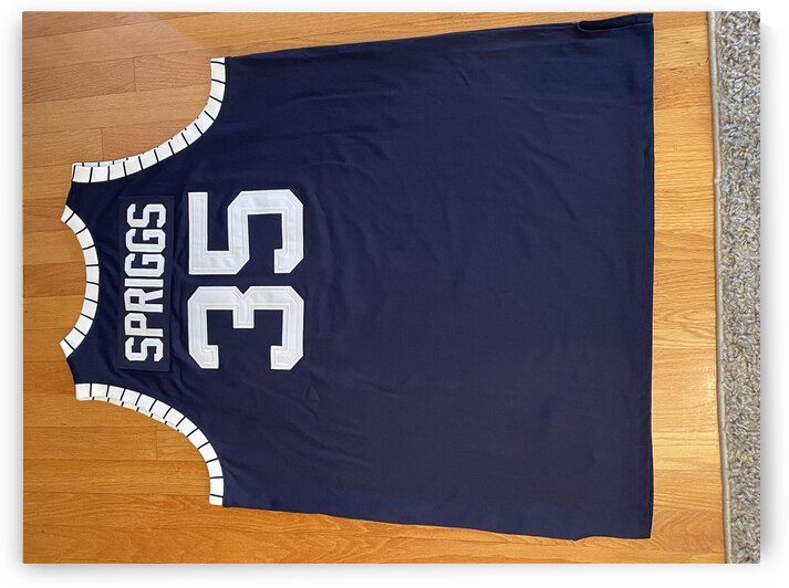 Larry Spriggs - Howard Bison 1 by mouserack