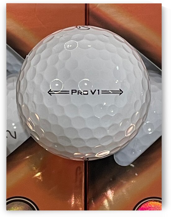 BMW PRO V1 - Back by mouserack