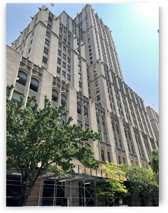 Madison Park -  New York 3 by mouserack