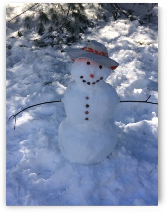 Mr. Snowman by mouserack