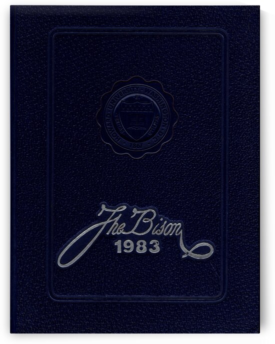 The Bison 1983 by mouserack