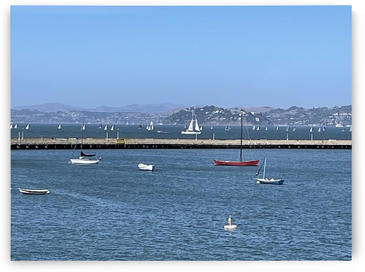 Sailing  on San Francisco Bay by mouserack
