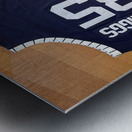 Larry Spriggs - Howard Bison 1 Metal print