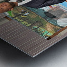 Wes Moore Metal print