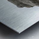 Dr. Martin Luther KIng Jr Memorial 1 Metal print