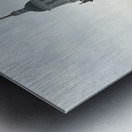 Howard University Founders Library Metal print