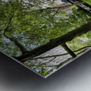 Madison Park -  New York 2 Metal print