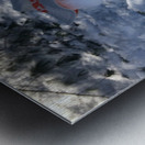 Mr. Snowman Metal print