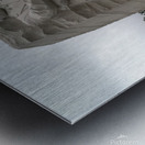 Dr. Martin Luther KIng Jr Memorial 2 Metal print