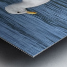 Little Birdie at Fishermans Wharf - San Francisco - 3 Metal print