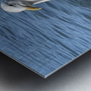 Little Birdie at Fishermans Wharf - San Francisco - 5 Metal print