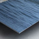 Little Birdie at Fishermans Wharf - San Francisco - 4 Metal print