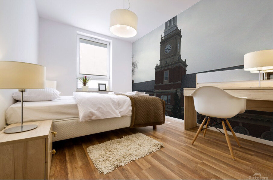 Howard University Founders Library Mural print