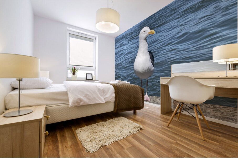 Little Birdie at Fishermans Wharf - San Francisco - 1 Mural print