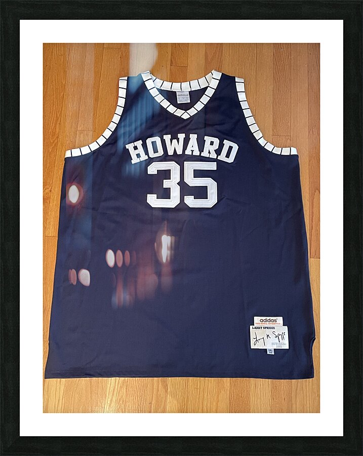 Larry Spriggs - Howard Bison II Picture Frame print