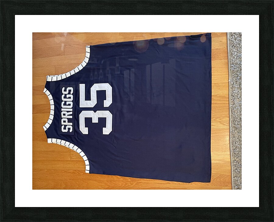 Larry Spriggs - Howard Bison 1 Picture Frame print