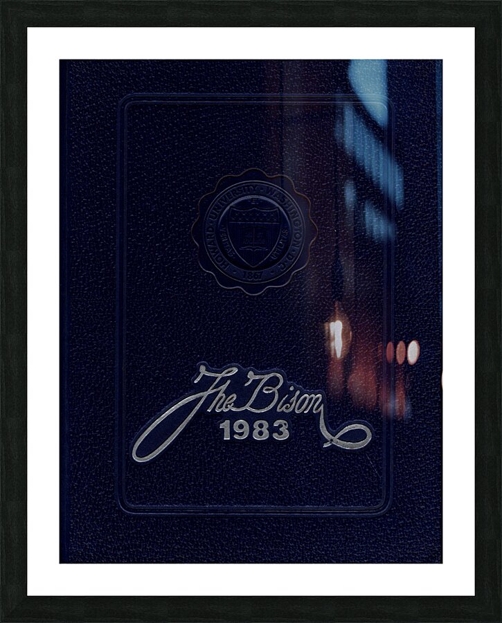 The Bison 1983 Picture Frame print