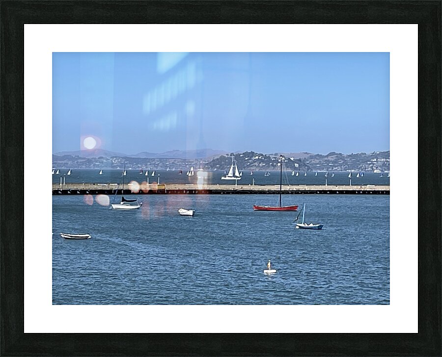 Sailing  on San Francisco Bay Picture Frame print