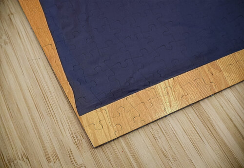 Larry Spriggs - Howard Bison II mouserack puzzle