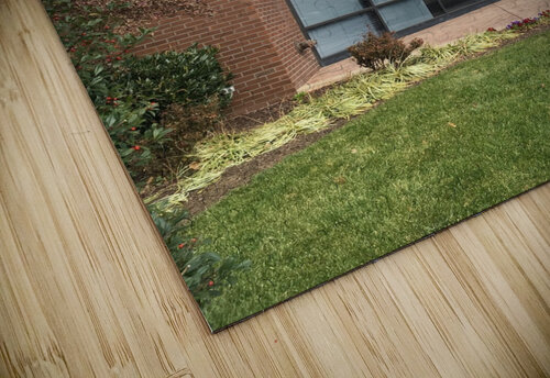 Howard University School of Business mouserack puzzle