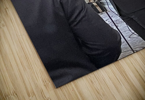 Wes Moore 1 mouserack puzzle