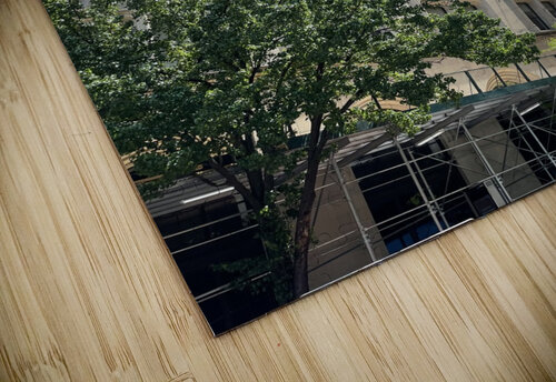 Madison Park -  New York 3 mouserack puzzle