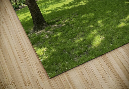 Madison Park -  New York 2 mouserack puzzle