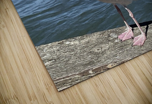 Little Birdie at Fishermans Wharf - San Francisco - 6 mouserack puzzle