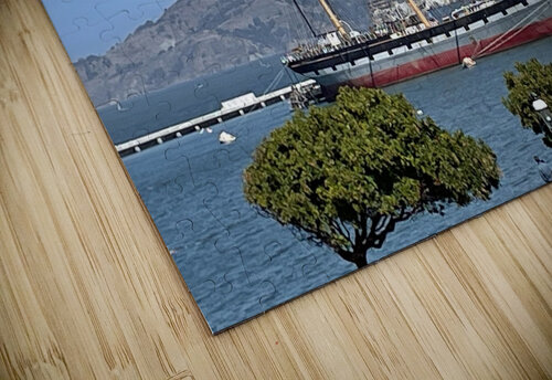 Maritime Boats on San Francisco Bay - 1 mouserack puzzle