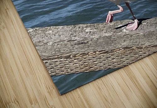 Little Birdie at Fishermans Wharf - San Francisco - 3 mouserack puzzle